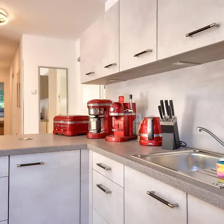 Meereslauschen In Der Beatrice